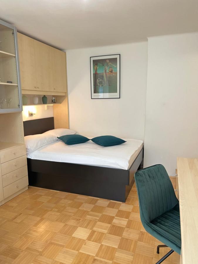 Luxury Studio Apartments Ljubljana Luaran gambar